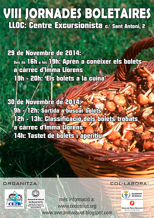 cartell-jornades-boletaires-28-29-novembre-2014_petit