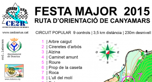 Captura de pantalla 2015-07-30 a les 21.54.47 copia